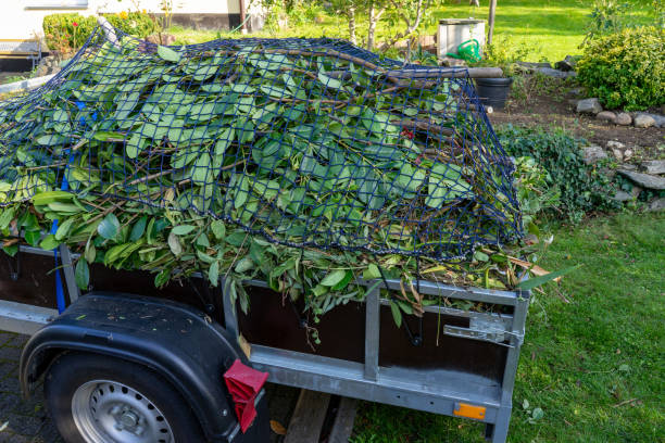 Moving and Downsizing Cleanouts in Wheaton, IL